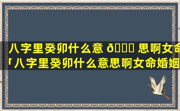 八字里癸卯什么意 🕊 思啊女命「八字里癸卯什么意思啊女命婚姻」